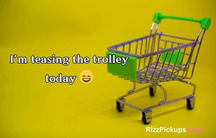 Trolley Puns Trolley Puns
