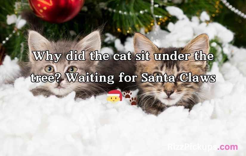 Christmas Cat Puns