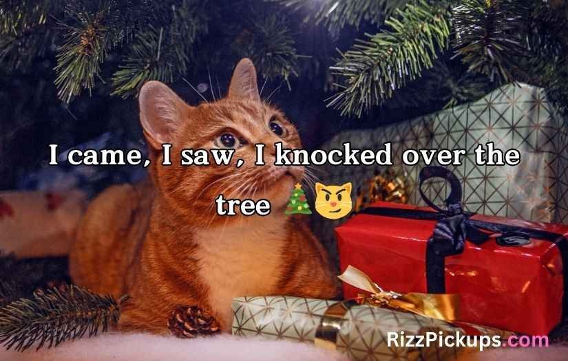 Christmas Cat Puns