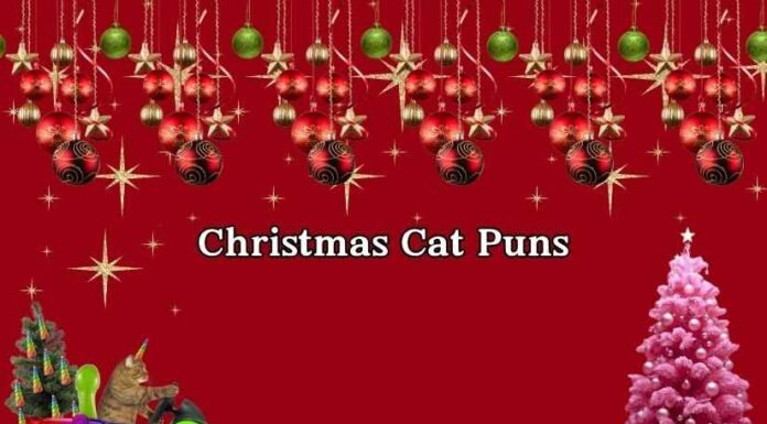 Christmas Cat Puns Christmas Cat Puns