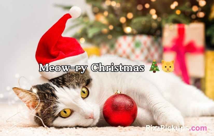 Christmas Cat Puns