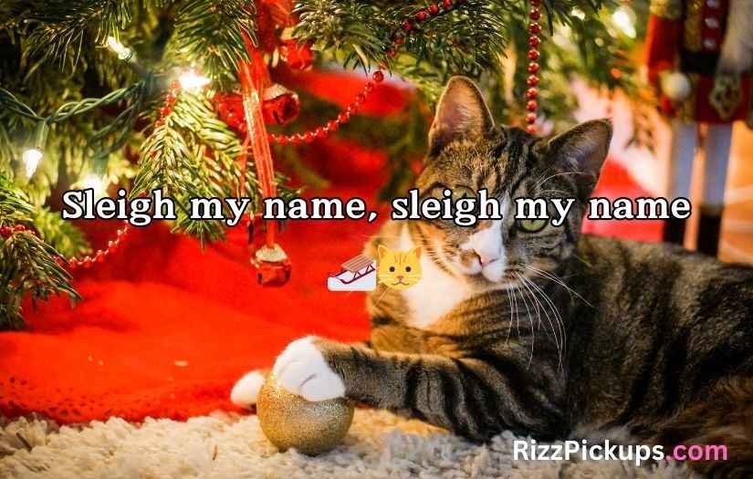Christmas Cat Puns