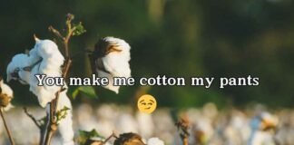 Cotton Puns cotton puns
