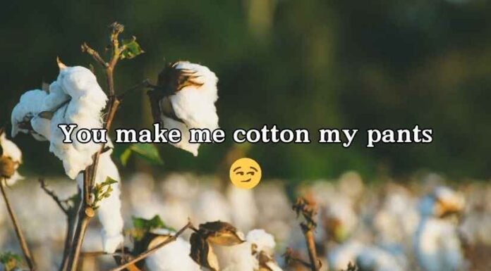 Cotton Puns cotton puns