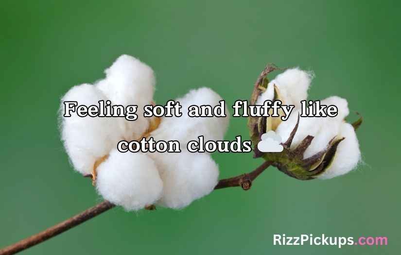 cotton puns