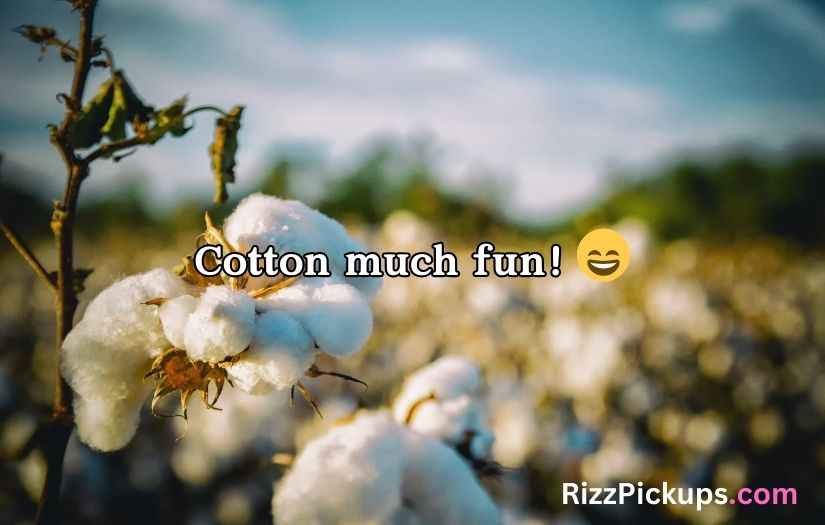 cotton puns