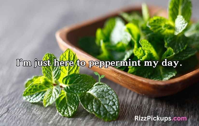 Mint Puns