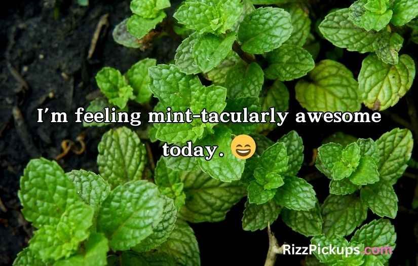 Mint Puns