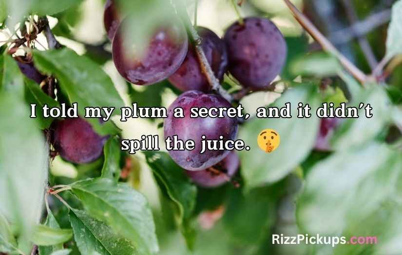 Plum Puns and Jokes