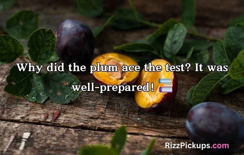 Plum Puns and Jokes