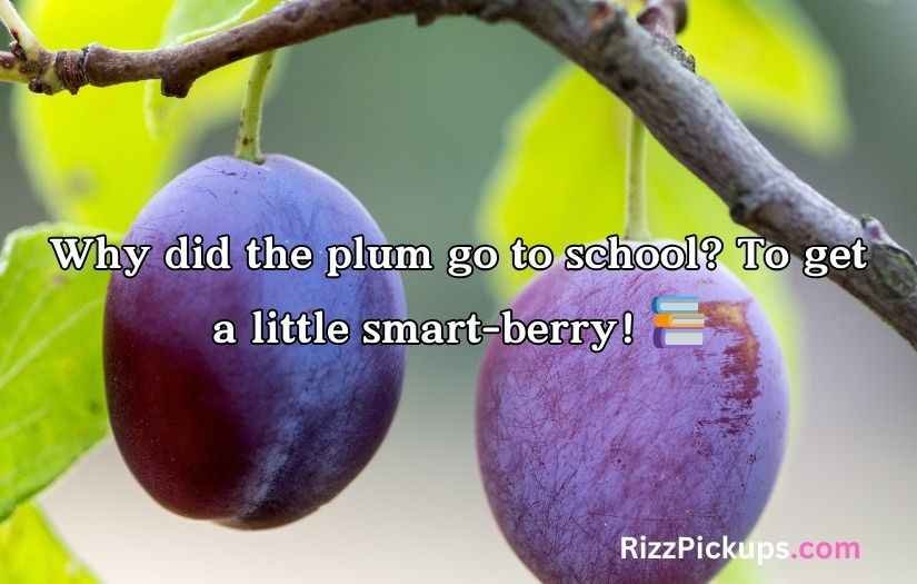 Plum Puns and Jokes