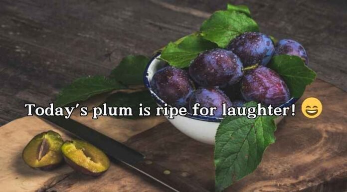 Plum Puns and Jokes Plum Puns and Jokes