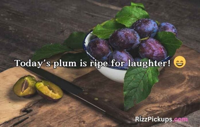 Plum Puns and Jokes