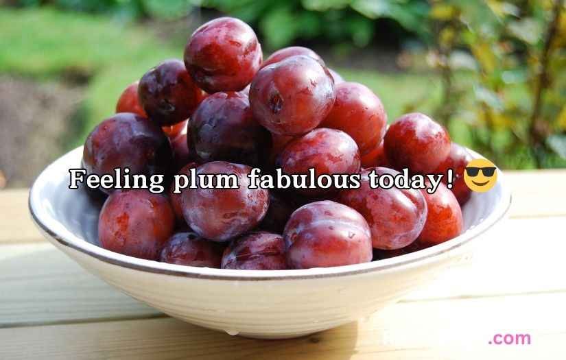 Plum Puns and Jokes