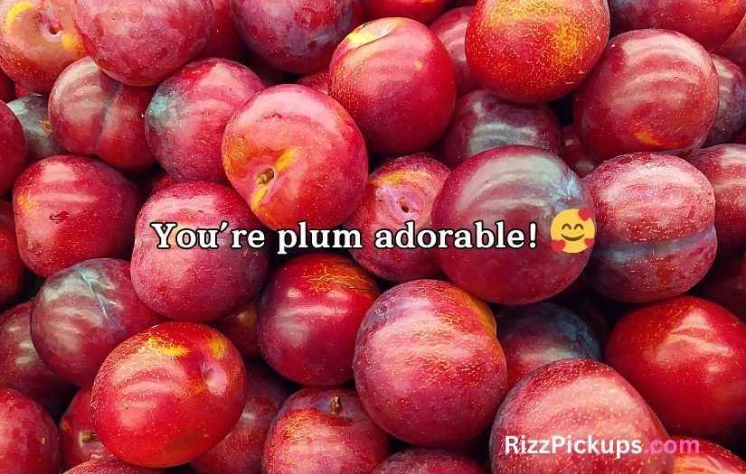 Plum Puns and Jokes