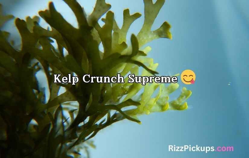 Seaweed Puns And Jokes