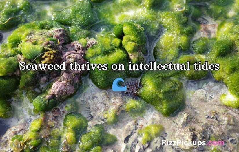 Seaweed Puns And Jokes