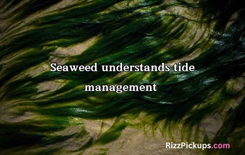 Seaweed Puns And Jokes