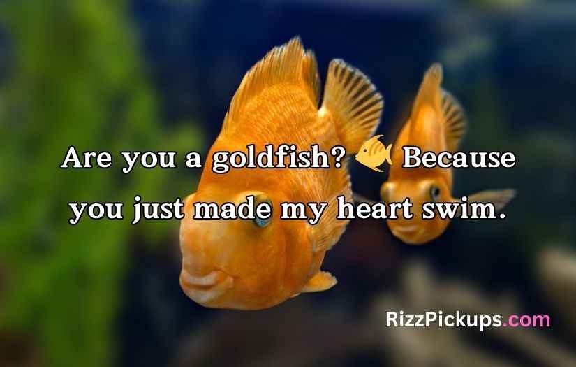 Goldfish Pick-Up Lines