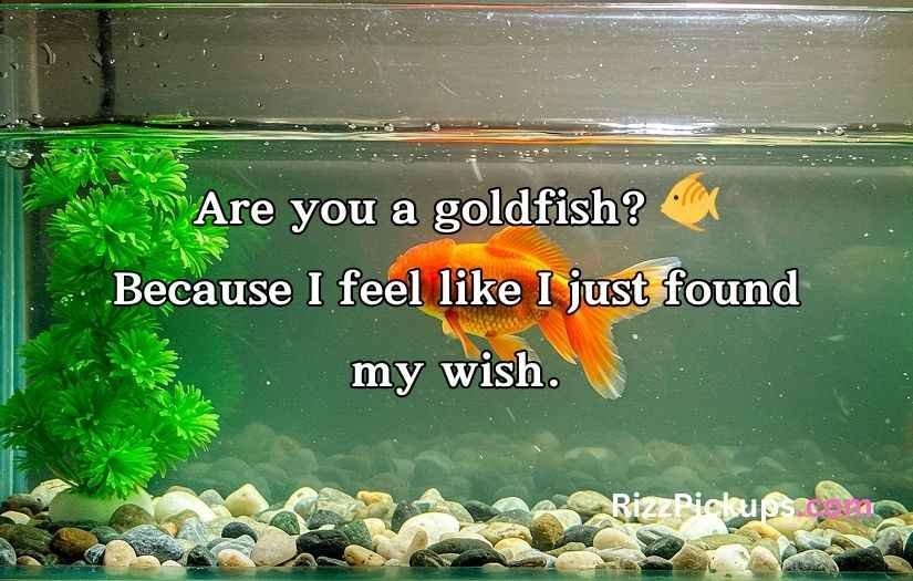 Goldfish Pick-Up Lines