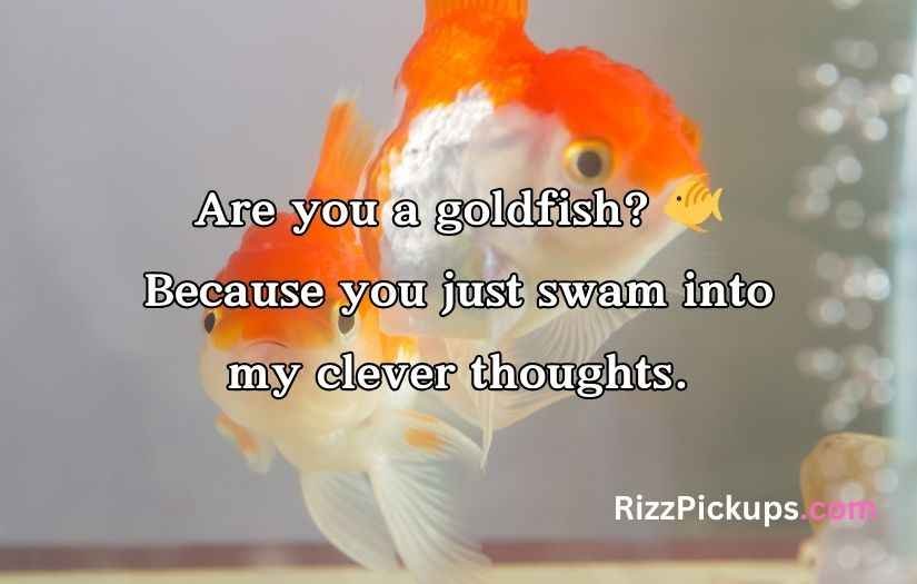 Goldfish Pick-Up Lines