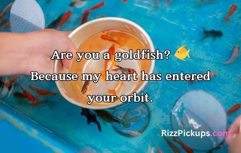 Goldfish Pick-Up Lines