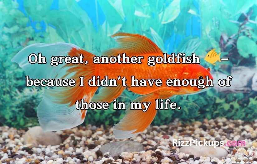 Goldfish Pick-Up Lines