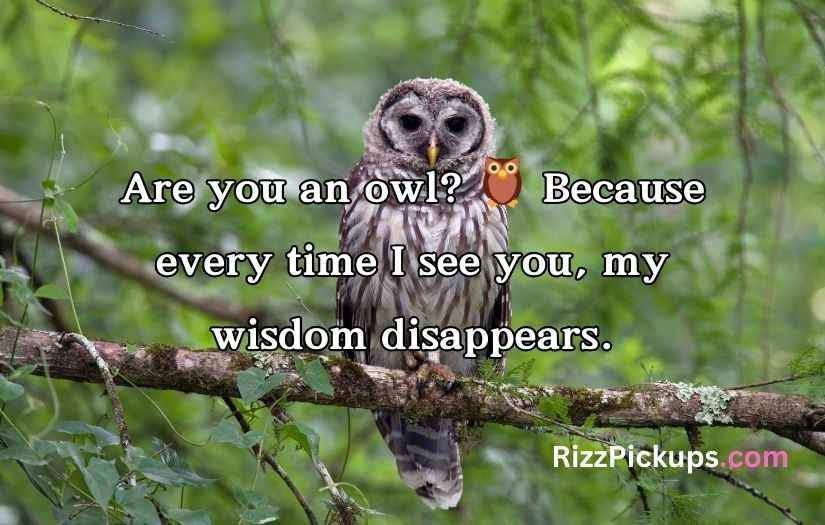 Best Owl Pick Up Lines