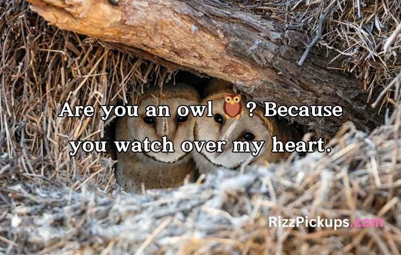 Best Owl Pick Up Lines