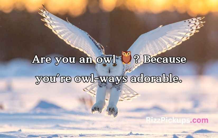 Best Owl Pick Up Lines