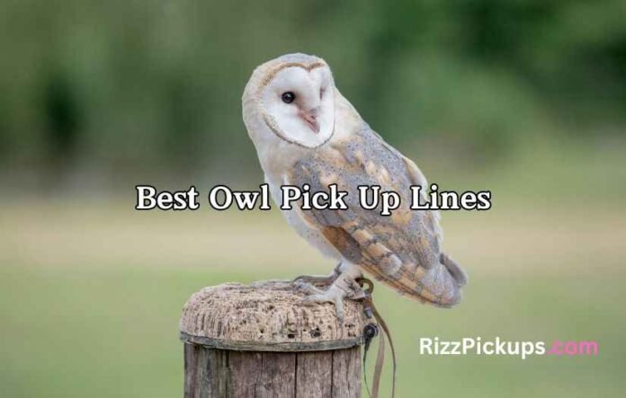 Best Owl Pick Up Lines