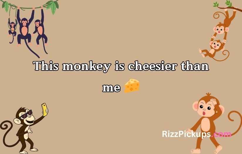 Rizz Monkey GIF Pick Up Lines