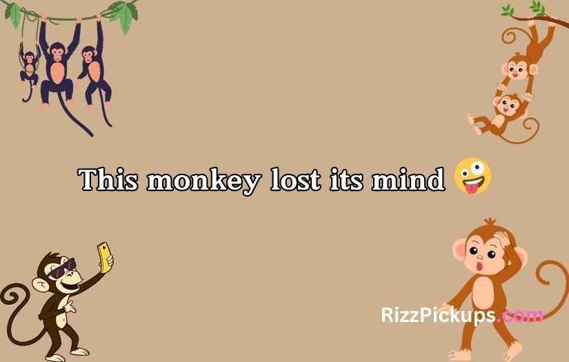Rizz Monkey GIF Pick Up Lines