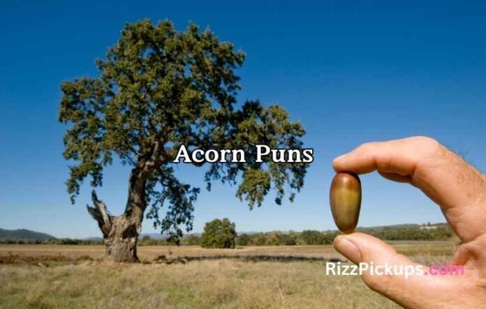 Acorn Puns