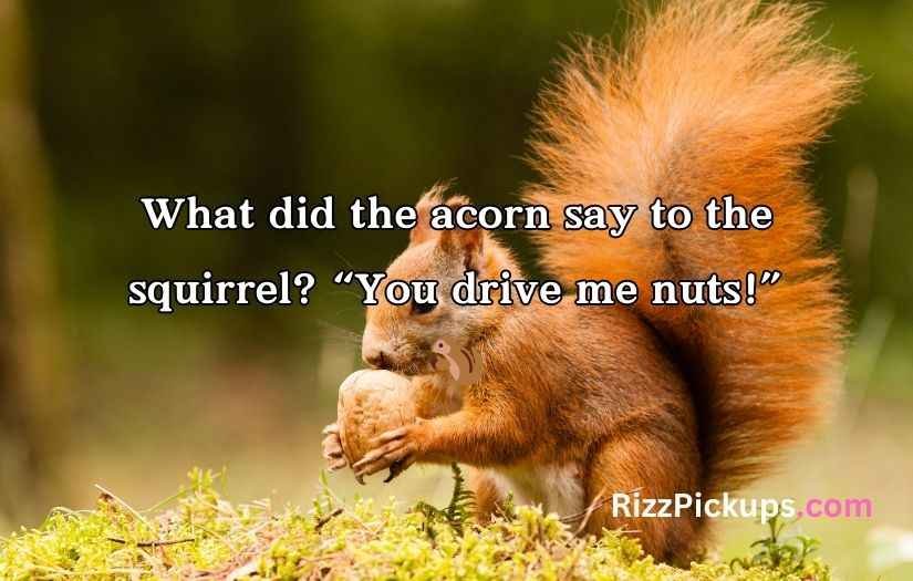 Acorn Puns