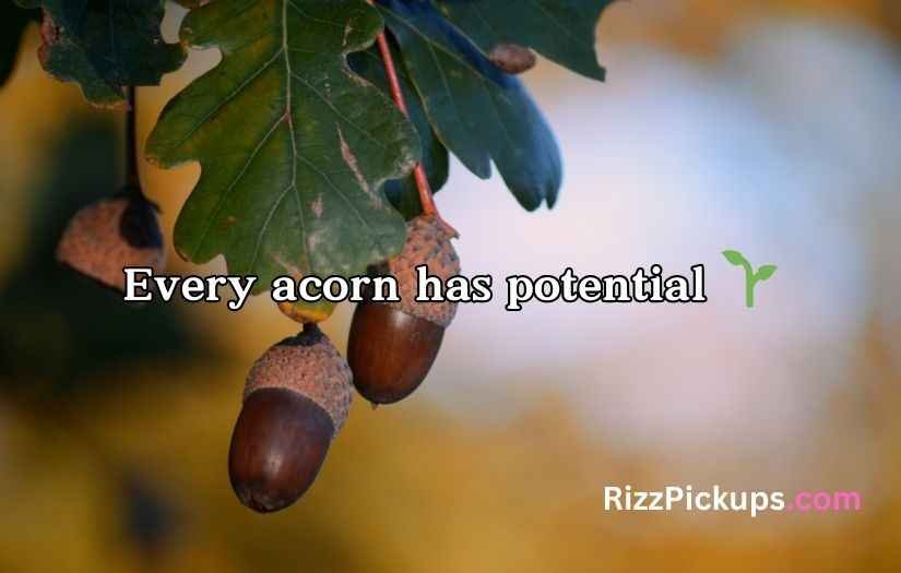 Acorn Puns