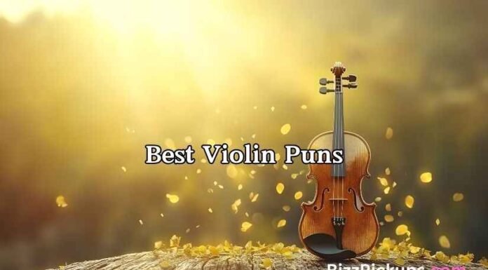 Best Violin Puns Best Violin Puns