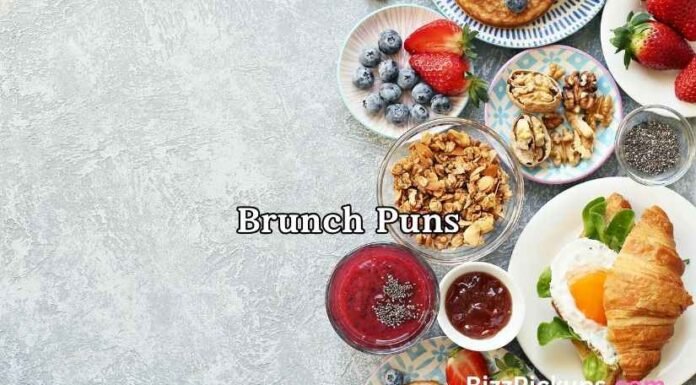 Brunch Puns Brunch Puns