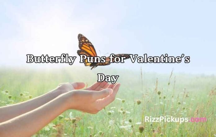 Butterfly Puns for Valentine’s Day