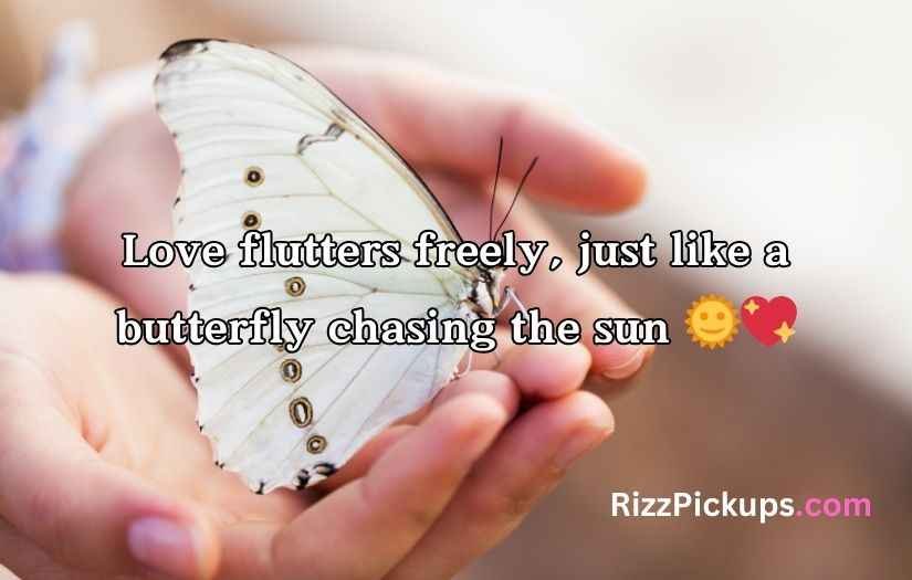 Butterfly Puns for Valentine’s Day