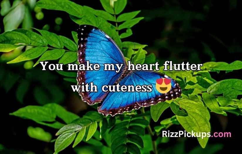 Butterfly Puns for Valentine’s Day