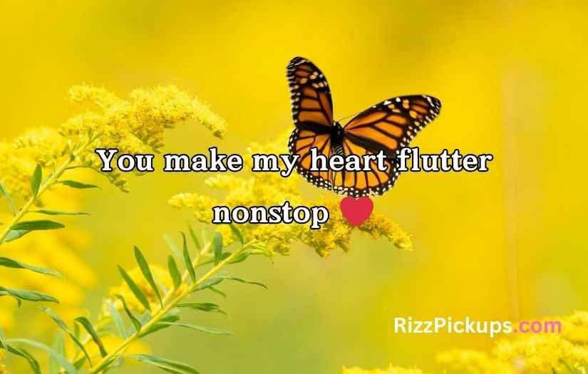Butterfly Puns for Valentine’s Day