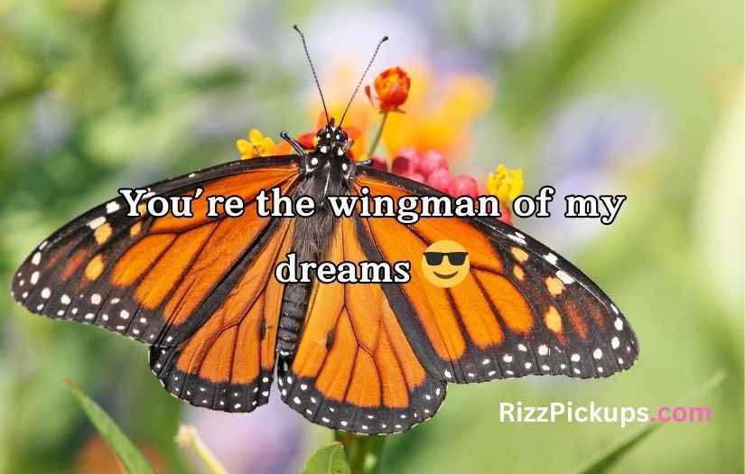 Butterfly Puns for Valentine’s Day