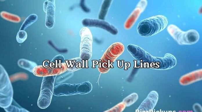 Cell Wall Pick Up Lines Cell Wall Pick Up Lines