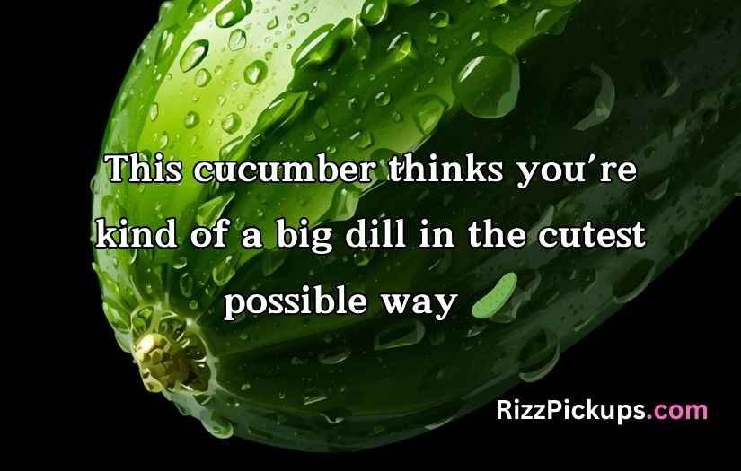 Cucumber Puns and Jokes