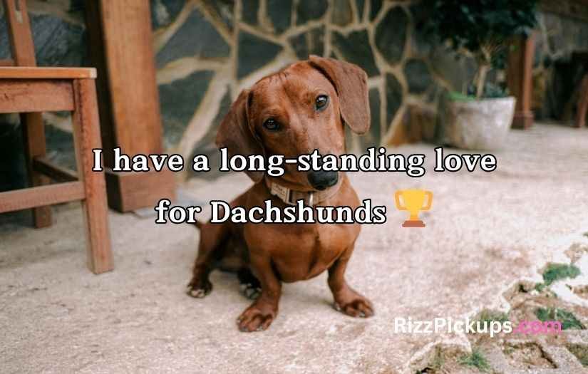 Dachshund Puns