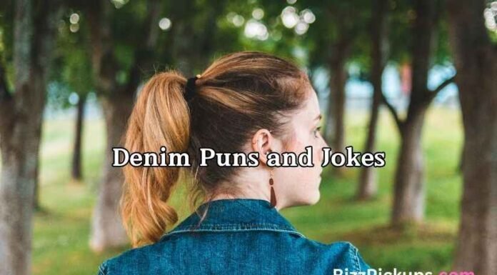 Denim Puns and Jokes Denim Puns and Jokes