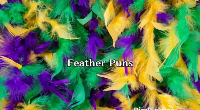 Feather Puns Feather Puns