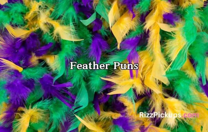 Feather Puns