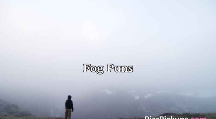 Fog Puns Fog Puns